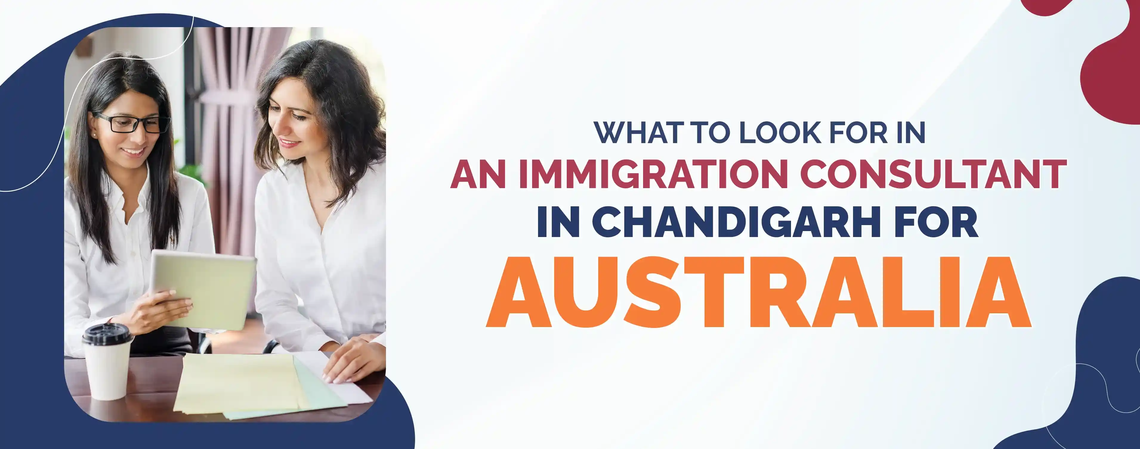 best immigration consultant in Chandigarh
