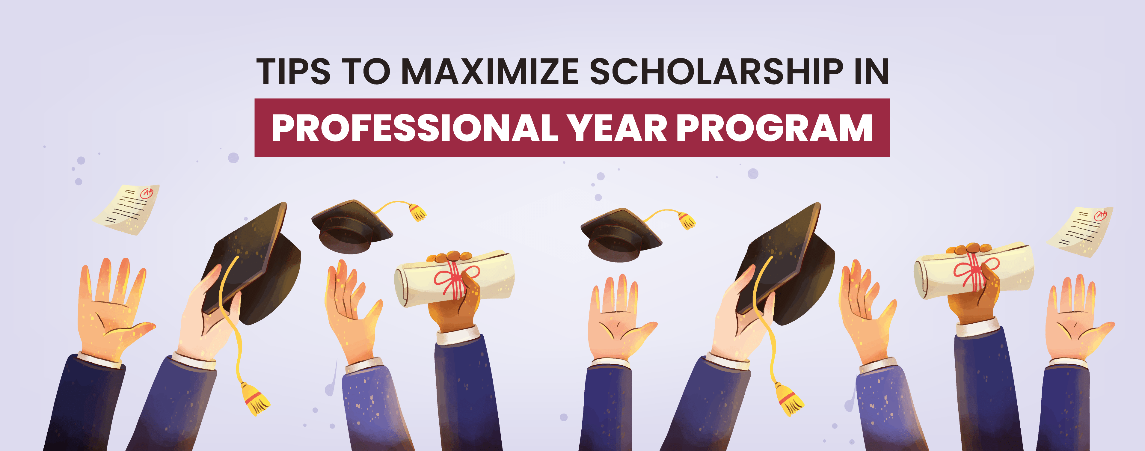 Professional Year Program scholarship